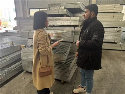 Клиенты из Катара посетили линию по производству оцинкованных стальных решето...